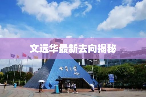 文远华最新去向揭秘
