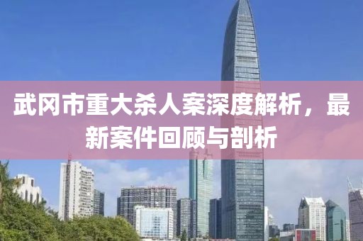 武冈市重大杀人案深度解析，最新案件回顾与剖析