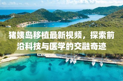 猪姨岛移植最新视频，探索前沿科技与医学的交融奇迹