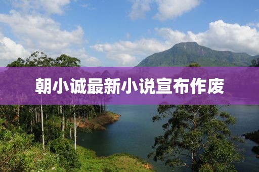 朝小诚最新小说宣布作废
