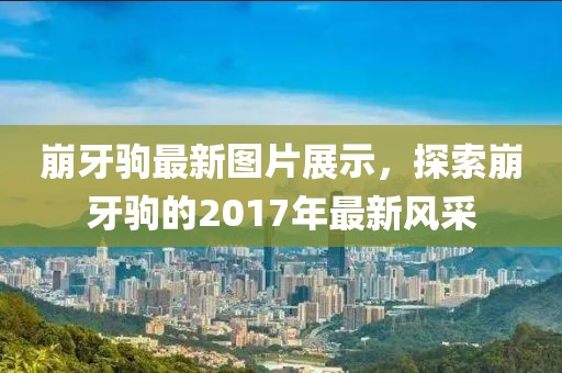 崩牙驹最新图片展示，探索崩牙驹的2017年最新风采