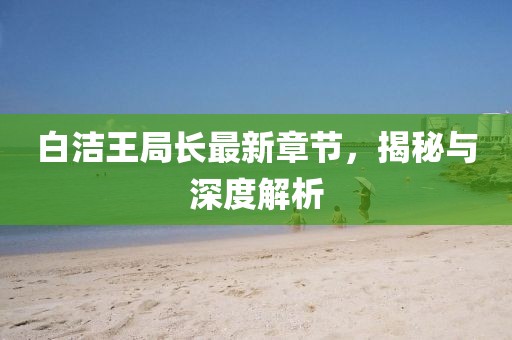 白洁王局长最新章节，揭秘与深度解析