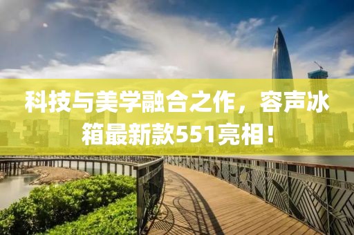科技与美学融合之作，容声冰箱最新款551亮相！