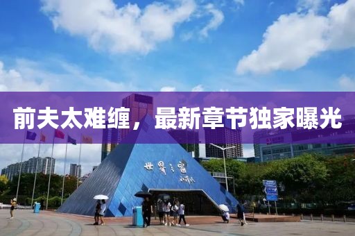 前夫太难缠，最新章节独家曝光