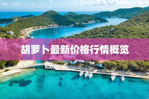 胡萝卜最新价格行情概览