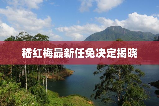 嵇红梅最新任免决定揭晓