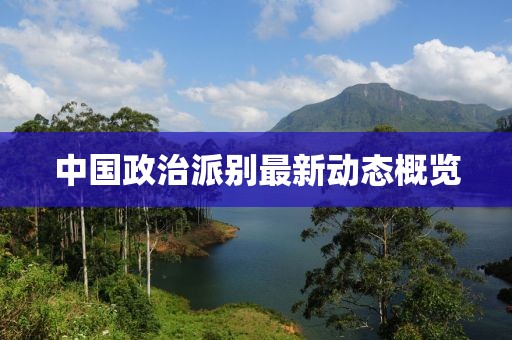 中国政治派别最新动态概览