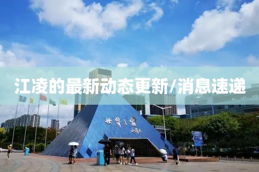 江凌的最新动态更新/消息速递