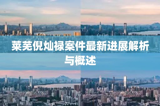 莱芜倪灿禄案件最新进展解析与概述