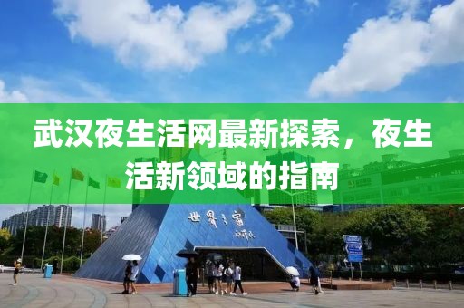 武汉夜生活网最新探索，夜生活新领域的指南