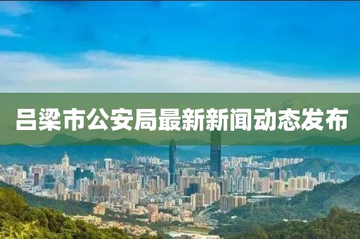 吕梁市公安局最新新闻动态发布