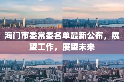 海门市委常委名单最新公布，展望工作，展望未来
