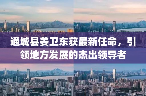 通城县姜卫东获最新任命，引领地方发展的杰出领导者
