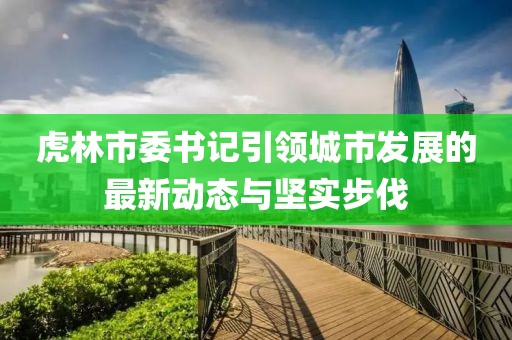 虎林市委书记引领城市发展的最新动态与坚实步伐