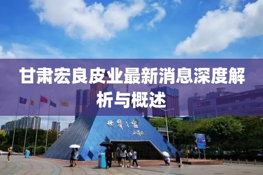 甘肃宏良皮业最新消息深度解析与概述