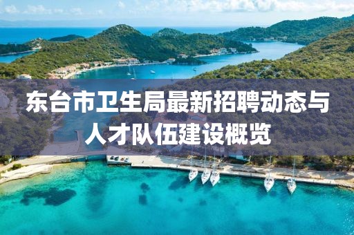 东台市卫生局最新招聘动态与人才队伍建设概览