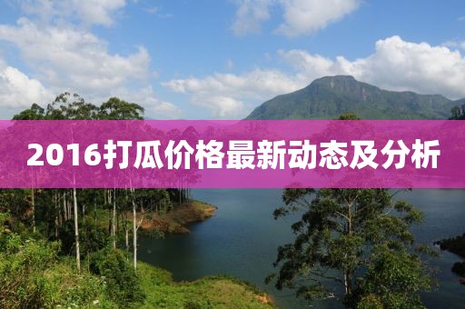 2016打瓜价格最新动态及分析