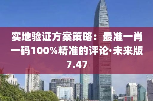 实地验证方案策略：最准一肖一码100%精准的评论·未来版7.47