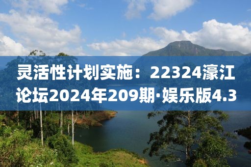 灵活性计划实施：22324濠江论坛2024年209期·娱乐版4.3