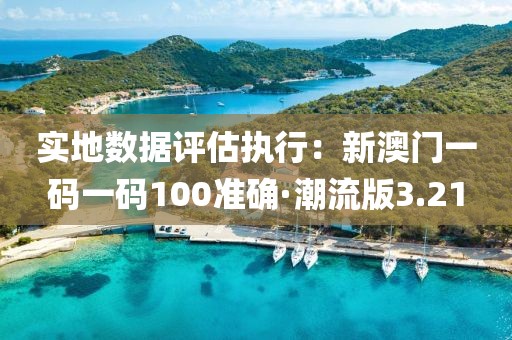实地数据评估执行：新澳门一码一码100准确·潮流版3.21