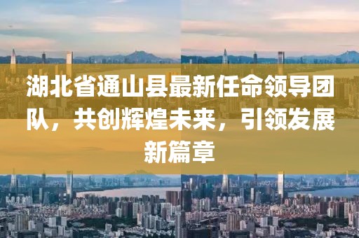 湖北省通山县最新任命领导团队，共创辉煌未来，引领发展新篇章