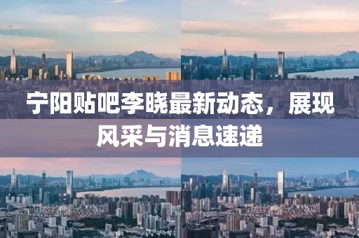 宁阳贴吧李晓最新动态，展现风采与消息速递