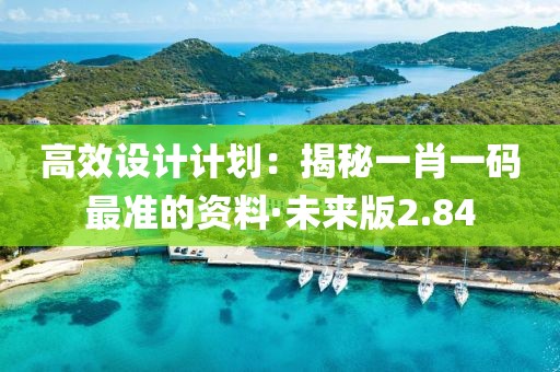高效设计计划：揭秘一肖一码最准的资料·未来版2.84