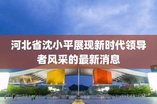 河北省沈小平展现新时代领导者风采的最新消息