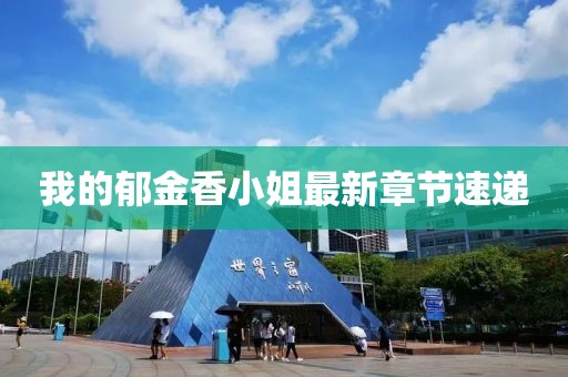 我的郁金香小姐最新章节速递