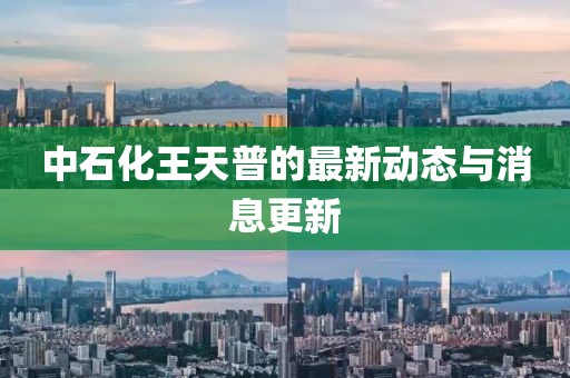 中石化王天普的最新动态与消息更新