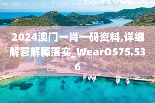 2024澳门一肖一码资料,详细解答解释落实_WearOS75.536