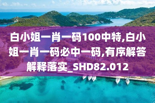白小姐一肖一码100中特,白小姐一肖一码必中一码,有序解答解释落实_SHD82.012
