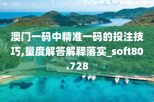 澳门一码中精准一码的投注技巧,量度解答解释落实_soft80.728