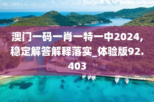 澳门一码一肖一特一中2024,稳定解答解释落实_体验版92.403