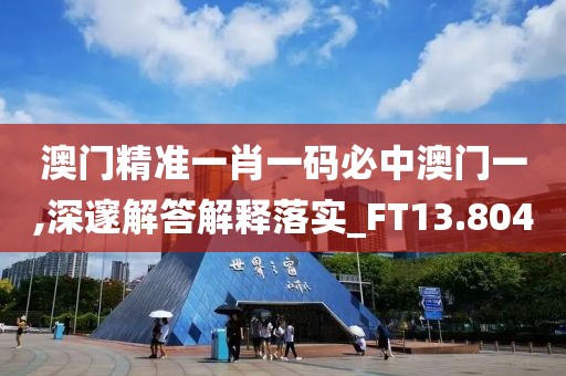 澳门精准一肖一码必中澳门一,深邃解答解释落实_FT13.804