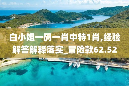 白小姐一码一肖中特1肖,经验解答解释落实_冒险款62.52