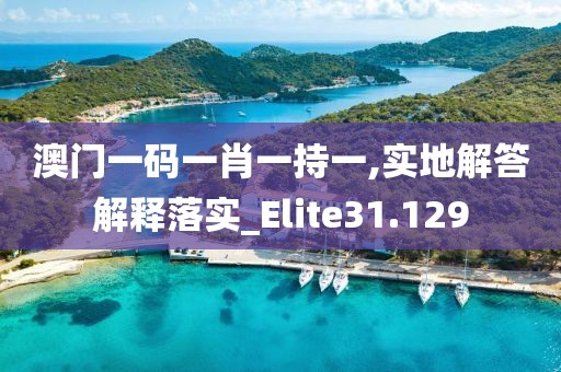 澳门一码一肖一持一,实地解答解释落实_Elite31.129