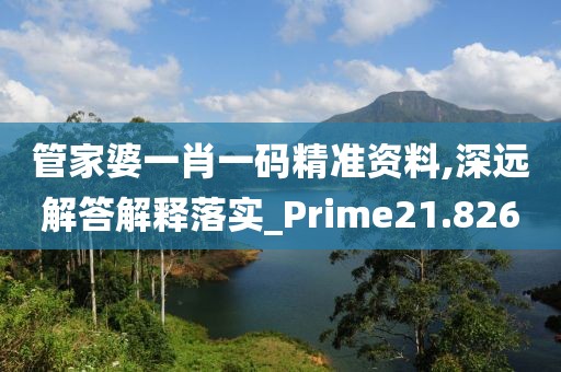 管家婆一肖一码精准资料,深远解答解释落实_Prime21.826