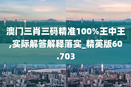 澳门三肖三码精准100%王中王,实际解答解释落实_精英版60.703