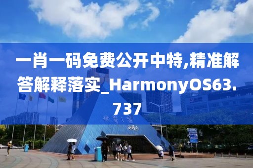 一肖一码免费公开中特,精准解答解释落实_HarmonyOS63.737
