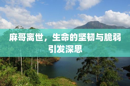 麻哥离世，生命的坚韧与脆弱引发深思