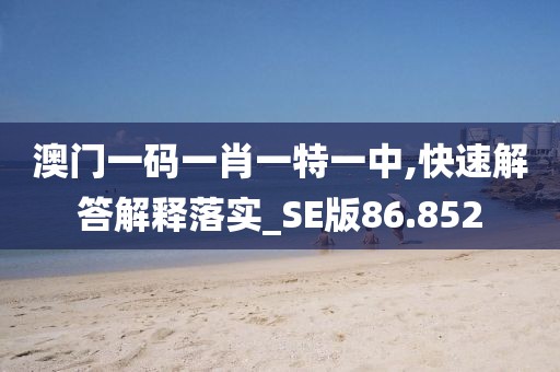澳门一码一肖一特一中,快速解答解释落实_SE版86.852