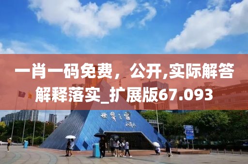 一肖一码免费，公开,实际解答解释落实_扩展版67.093