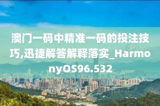 澳门一码中精准一码的投注技巧,迅捷解答解释落实_HarmonyOS96.532