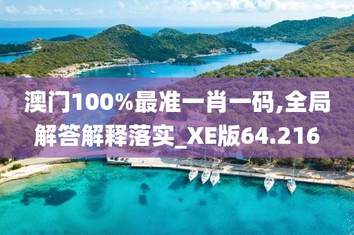 澳门100%最准一肖一码,全局解答解释落实_XE版64.216