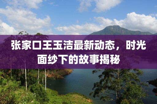 张家口王玉洁最新动态，时光面纱下的故事揭秘