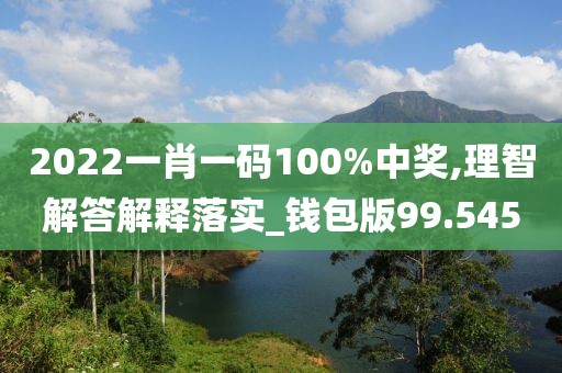 2022一肖一码100%中奖,理智解答解释落实_钱包版99.545