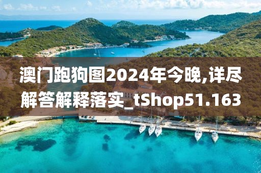 澳门跑狗图2024年今晚,详尽解答解释落实_tShop51.163