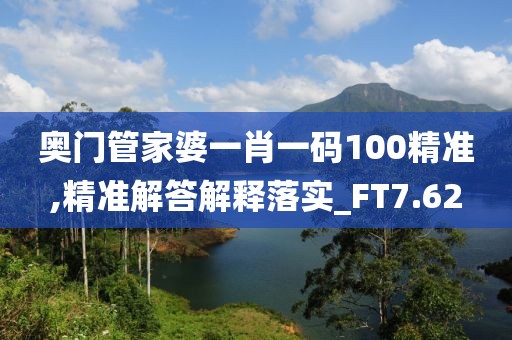 奥门管家婆一肖一码100精准,精准解答解释落实_FT7.62