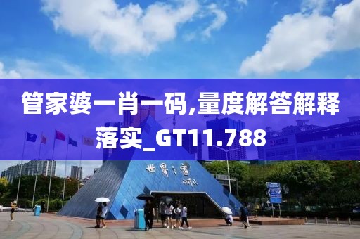 管家婆一肖一码,量度解答解释落实_GT11.788